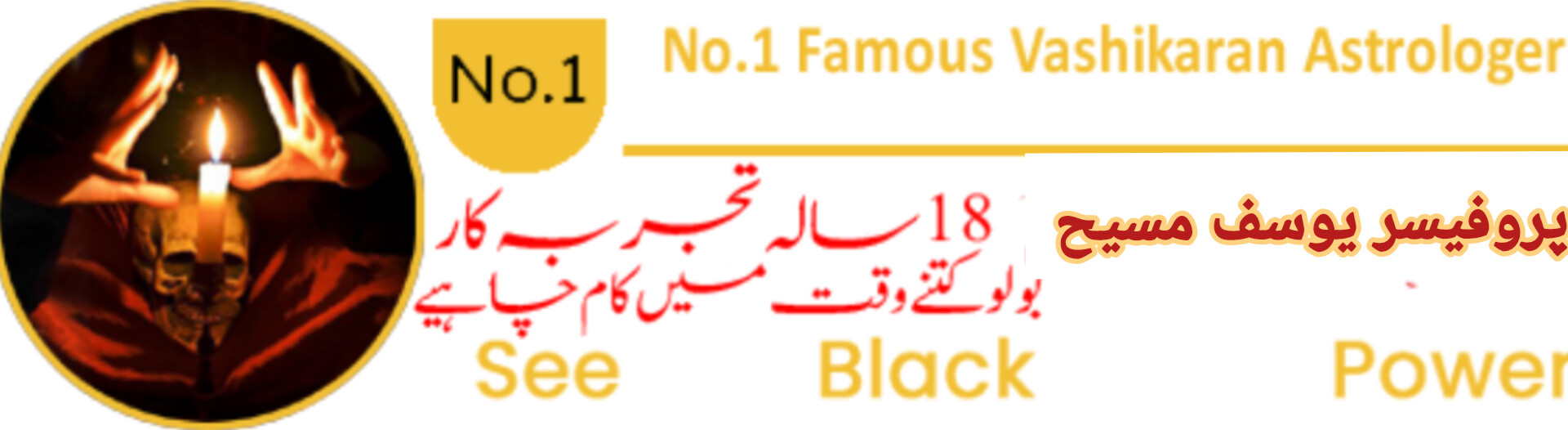 World Famous Astrologer